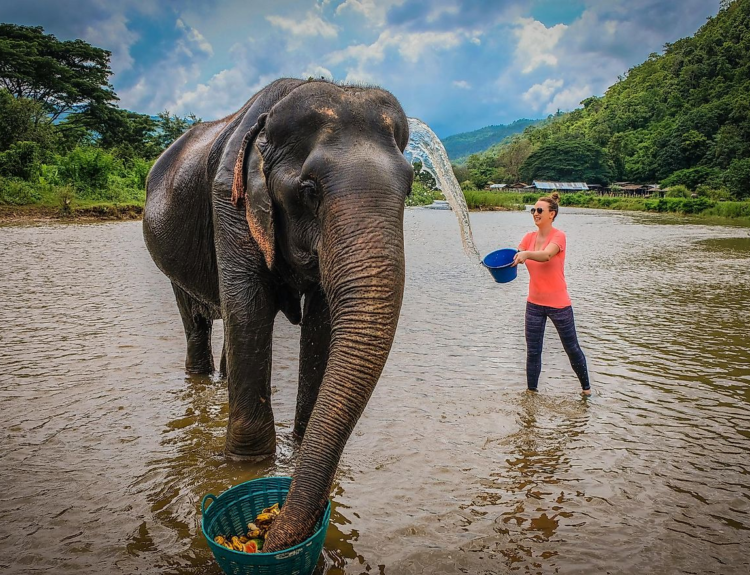 How to find ethical animal tourism experiences abroad