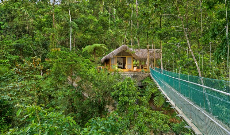 eco-friendly resorts in Costa Rica rainforest